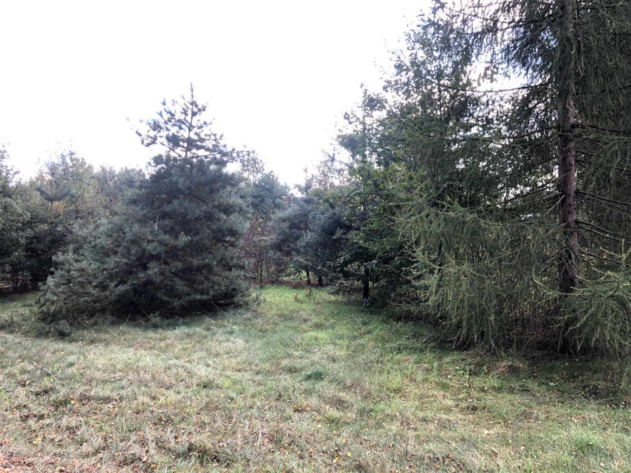 Działka budowlana Gonty, ul. Przy Rybakówce. Zdjęcie 5