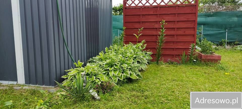 Działka rod Ełk, ul. Kolonia. Zdjęcie 7