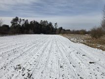 Działka rolna Wolica, Wolica. Zdjęcie 3