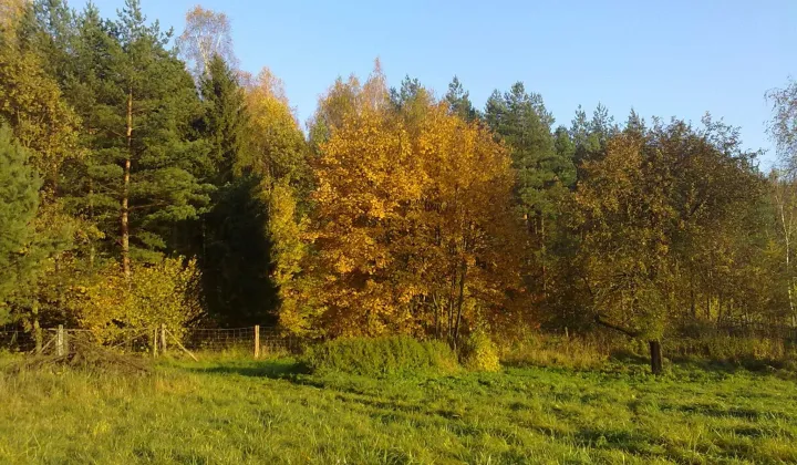 Działka rolna Borowy Młyn