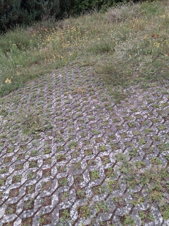 Działka budowlana Chwalęcice, ul. Leśna. Zdjęcie 7