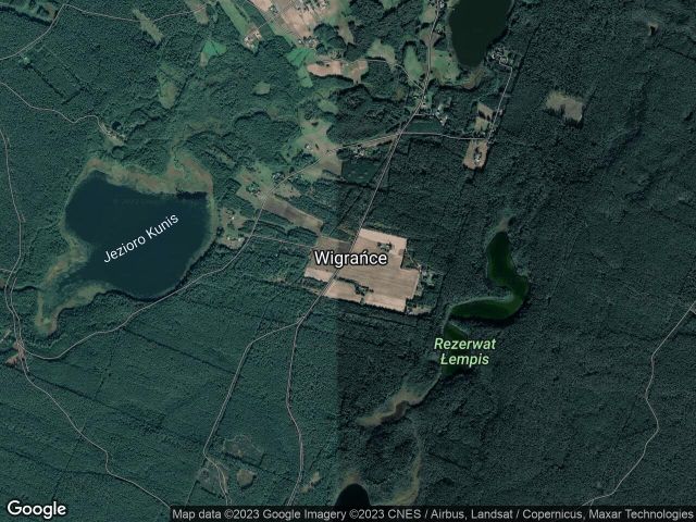 Działka leśna Wigrańce. Zdjęcie 1