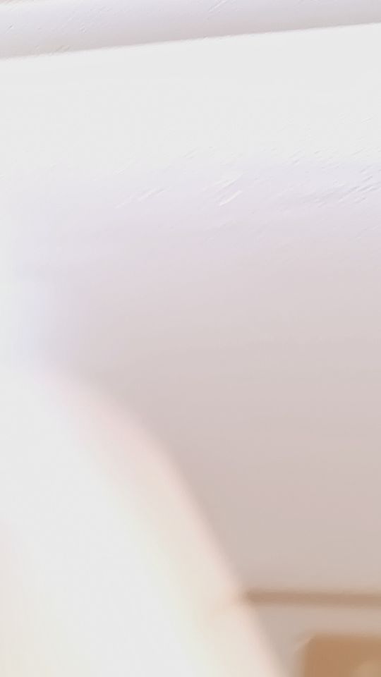 Działka rolno-budowlana Niedamowo. Zdjęcie 5