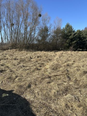 Działka rolno-budowlana Rogoźno, ul. Brzozowa. Zdjęcie 7