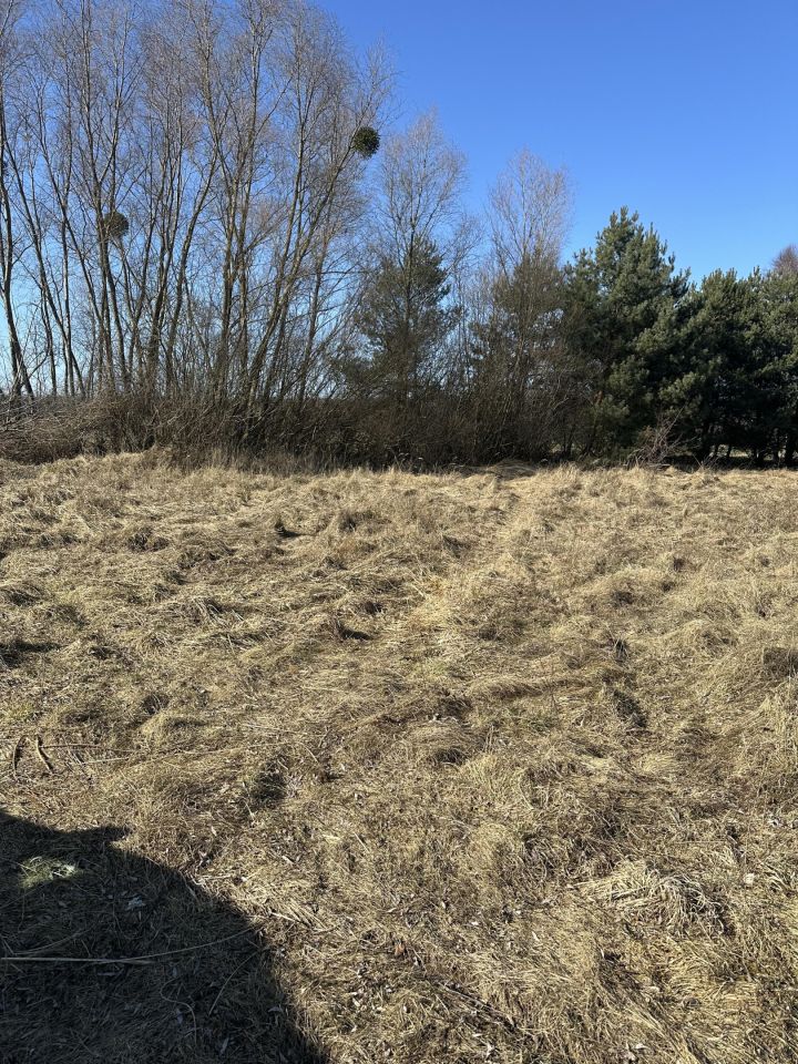 Działka rolno-budowlana Rogoźno, ul. Brzozowa. Zdjęcie 7