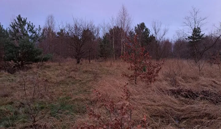 Działka budowlana Olbrachtów