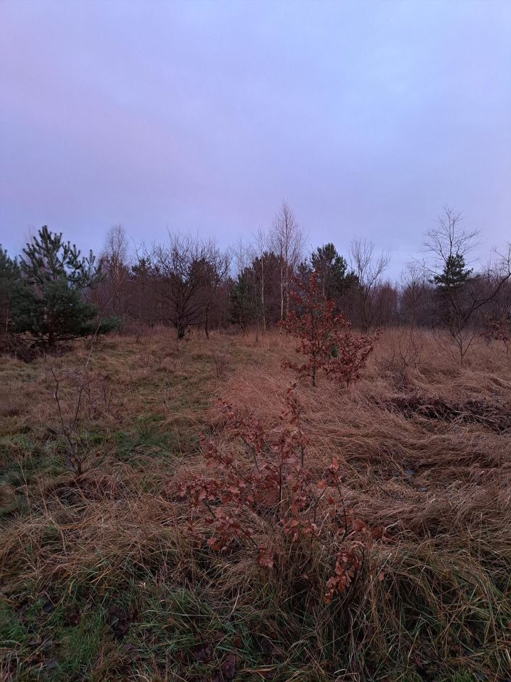 Działka budowlana Olbrachtów