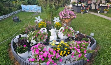 Działka rod Gliwice Sośnica, ul. Jesienna