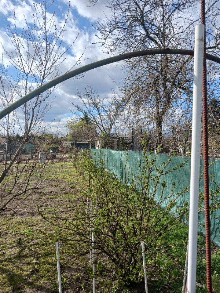 Działka rod Leszno Leszczynko, brak. Zdjęcie 2