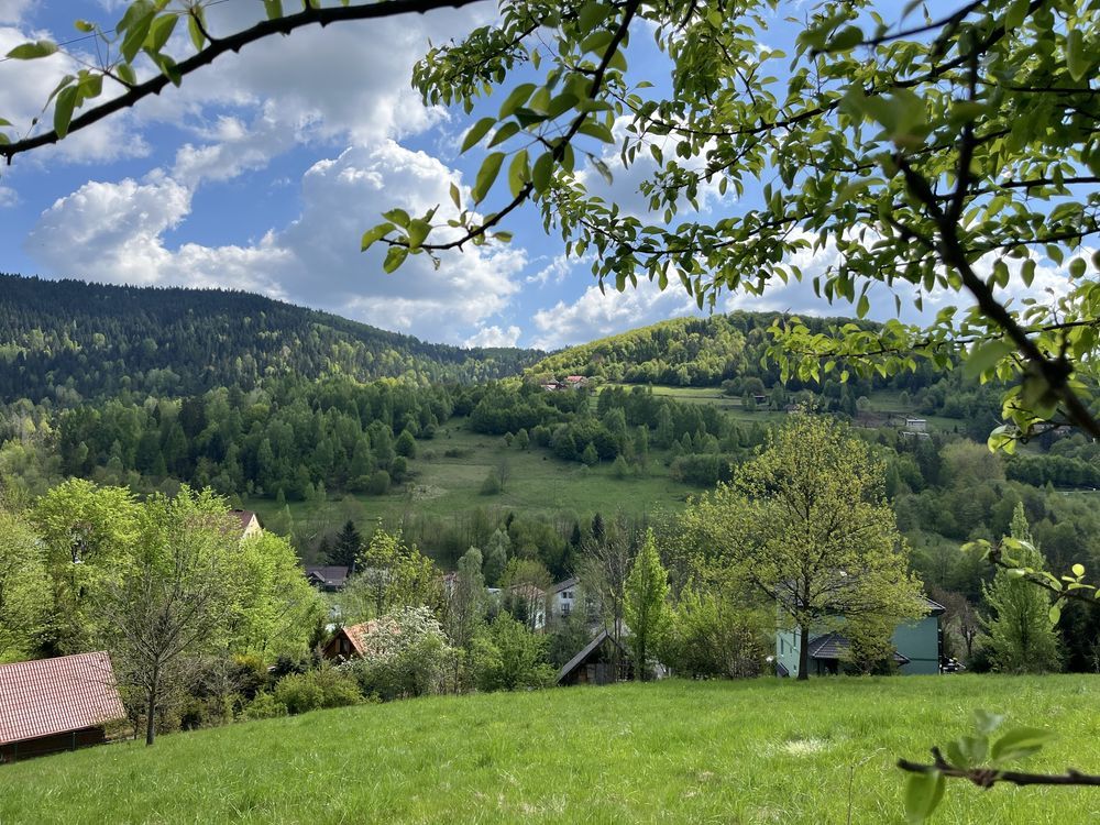 Działka budowlana Mutne. Zdjęcie 6