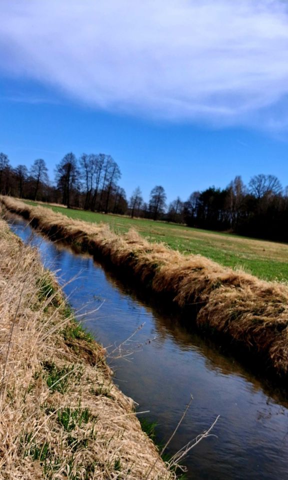 Działka budowlana Wólka. Zdjęcie 7
