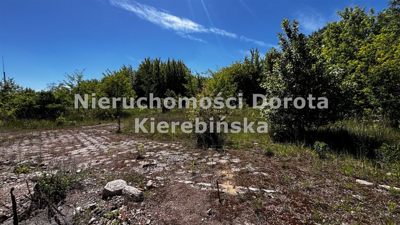Działka inwestycyjna Tomaszów Mazowiecki, ul. Piaskowa. Zdjęcie 9