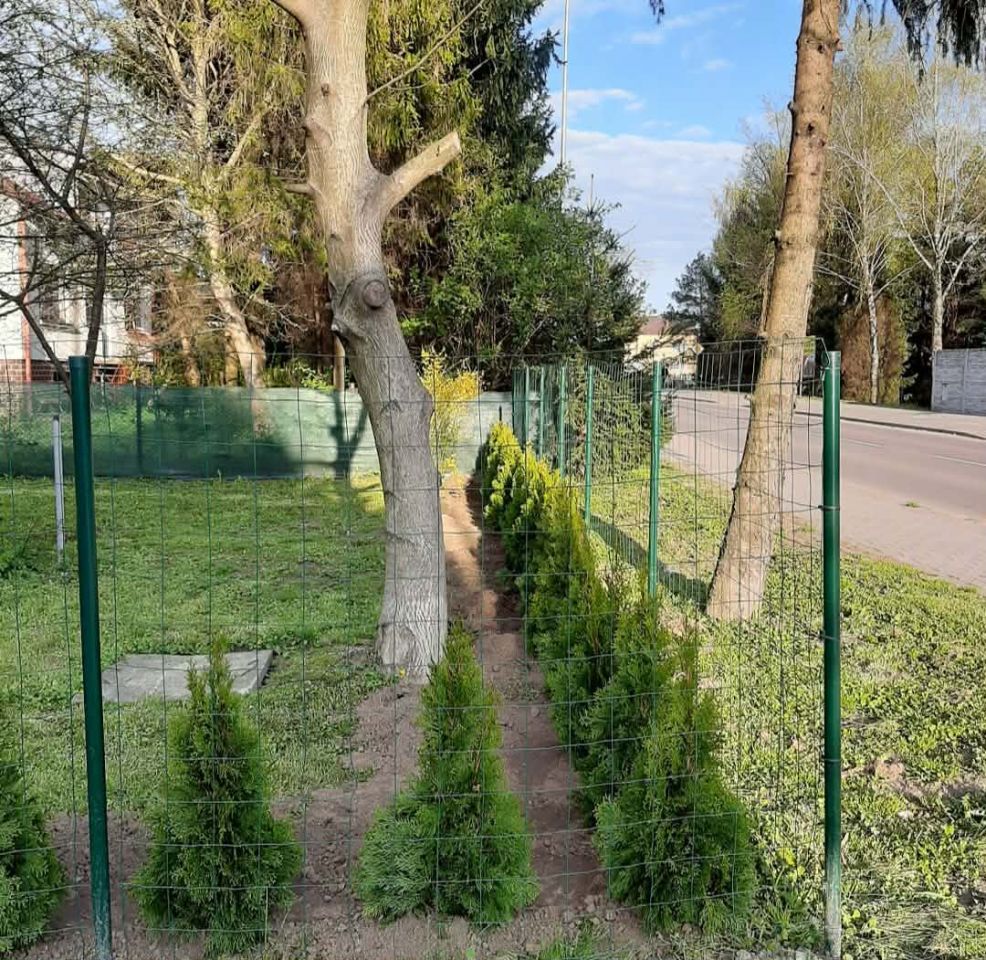 dom wolnostojący, 12 pokoi Zamość, ul. Graniczna. Zdjęcie 14