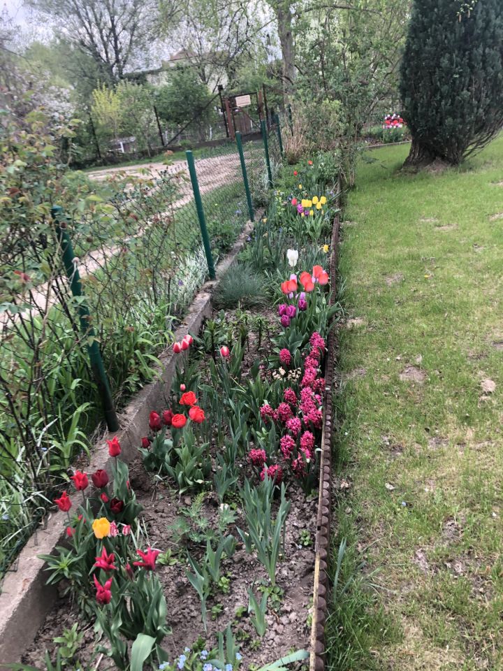 Działka rod Warszawa Mokotów, ul. Łucznicza. Zdjęcie 4