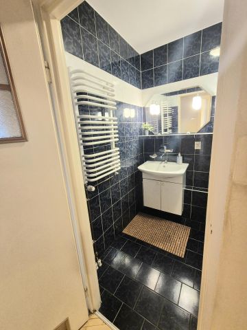 Mieszkanie 3-pokojowe Poznań Centrum, ul. Krakowska. Zdjęcie 17