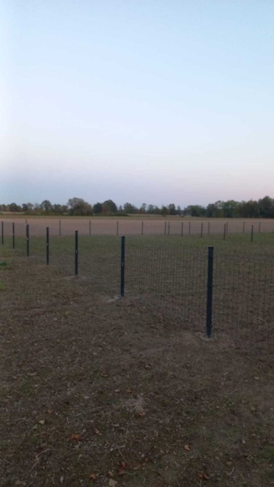 Działka rekreacyjna Kantorowice. Zdjęcie 4