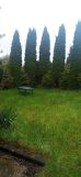 Działka rod Będzin Grodziec. Zdjęcie 4