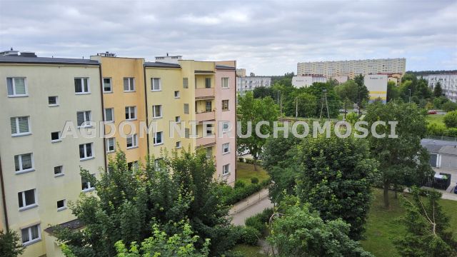 Mieszkanie 3-pokojowe Włocławek Zazamcze, ul. Toruńska. Zdjęcie 17