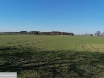 Działka budowlana Grudna. Zdjęcie 1