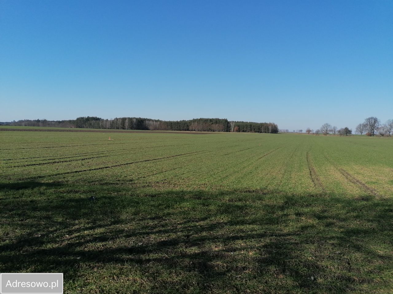 Działka budowlana Grudna. Zdjęcie 2