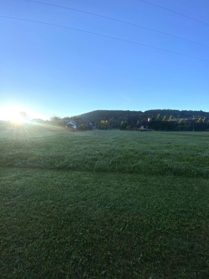 Działka rolno-budowlana Sobolów. Zdjęcie 6
