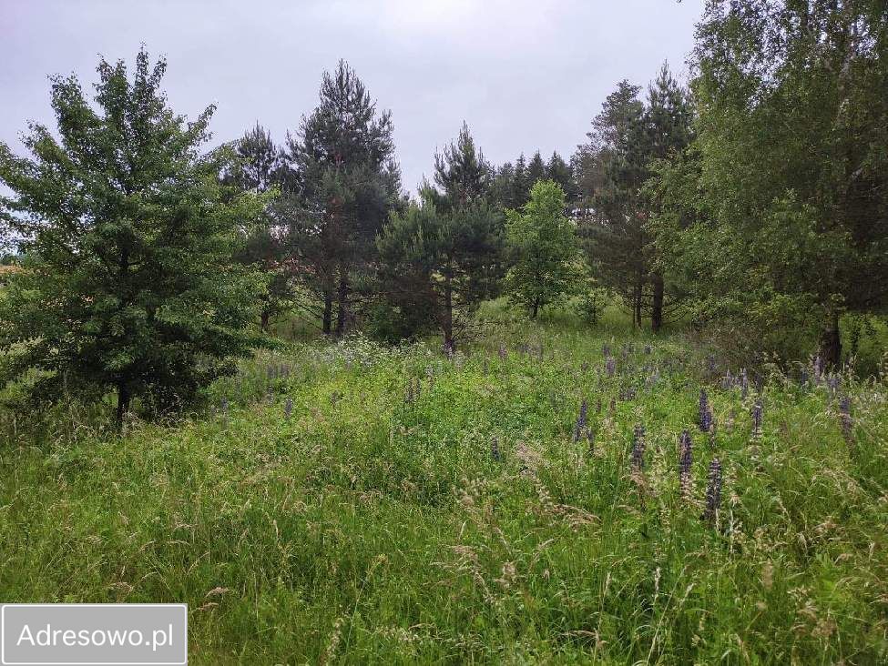 Działka rolna Rostki Skomackie. Zdjęcie 10