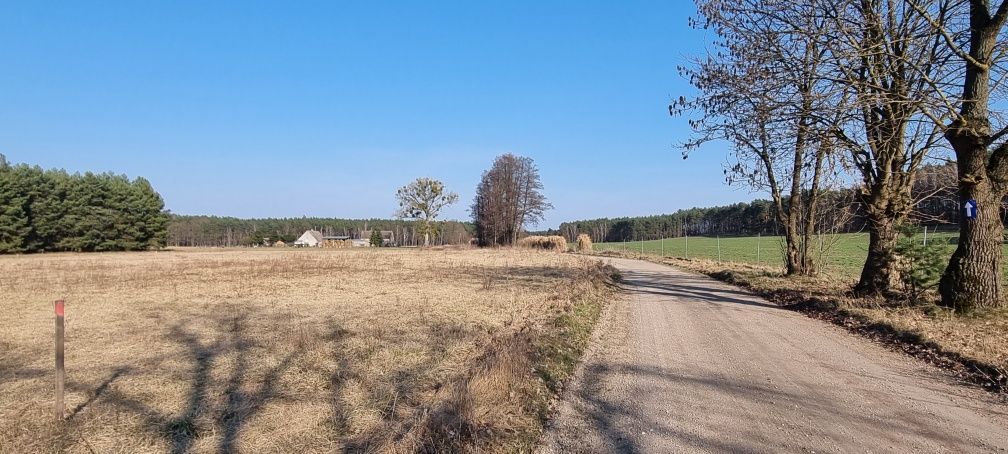 Działka rolno-budowlana Nowa Niedrzwica. Zdjęcie 4