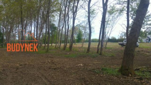 Działka inwestycyjna Jezierzany, ul. Nadmorska. Zdjęcie 8
