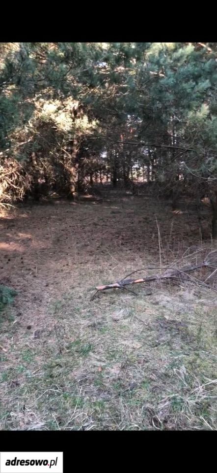 Działka rolno-budowlana Lubnów, ul. Szkolna. Zdjęcie 5