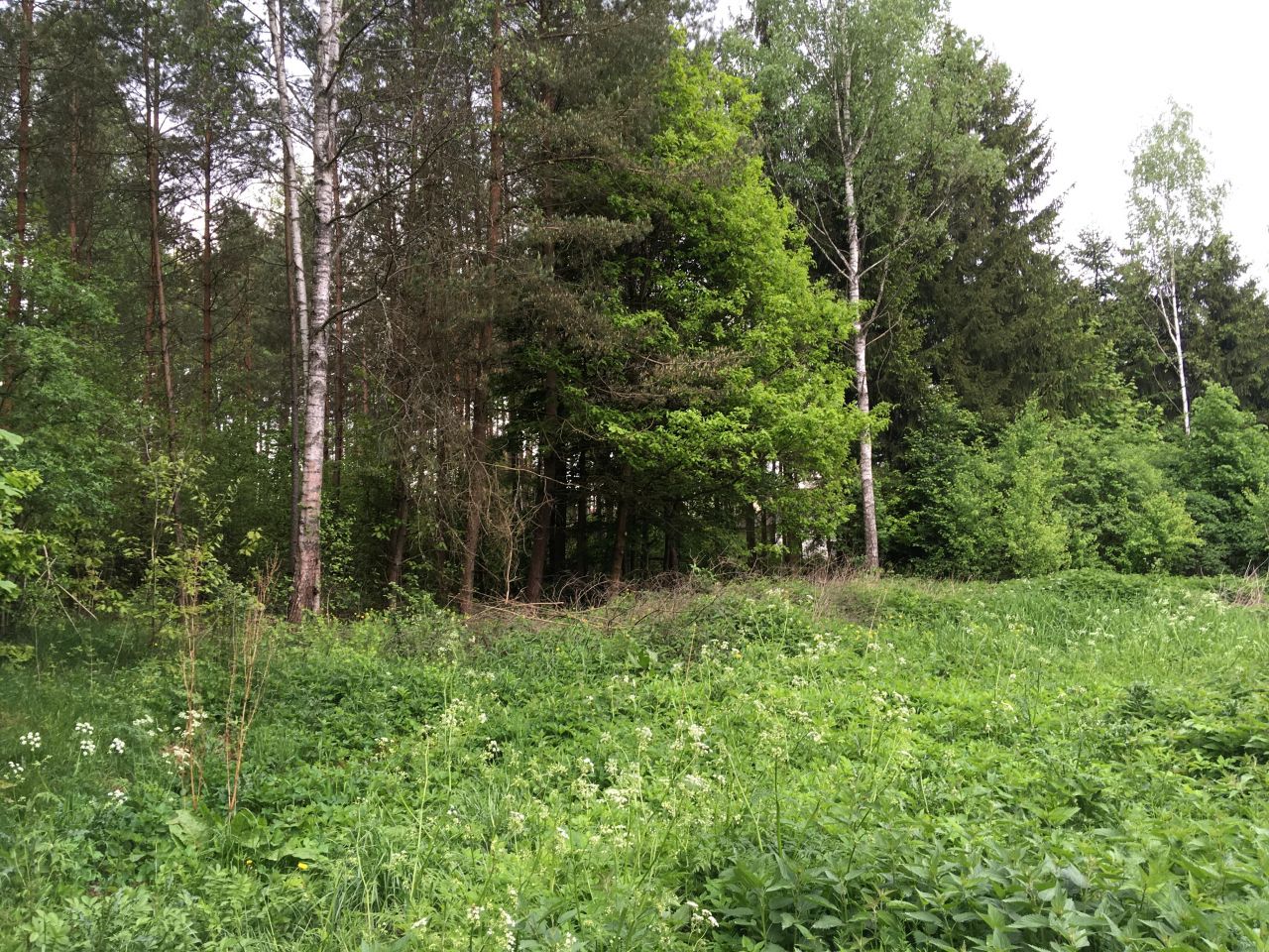 Działka budowlana Spychowo. Zdjęcie 7