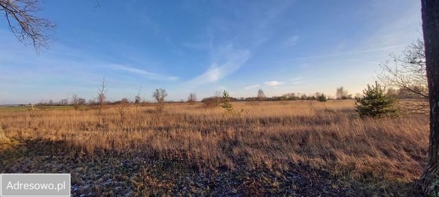 Działka inwestycyjna Pobiedziska. Zdjęcie 1