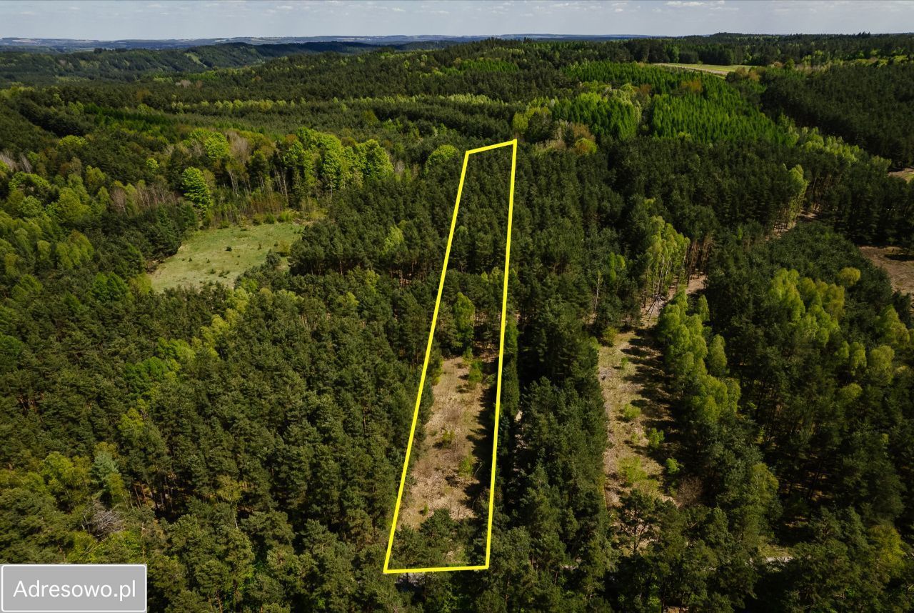 Działka rolno-budowlana Szur. Zdjęcie 11