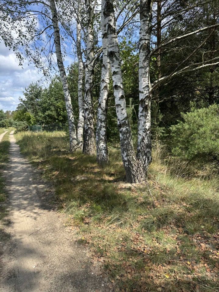 Działka rolno-budowlana Kolonia. Zdjęcie 6