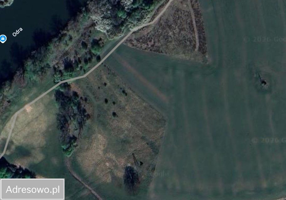 Działka rolna Kotowice. Zdjęcie 9