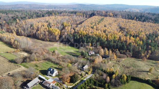 Działka rolna Cisów. Zdjęcie 1