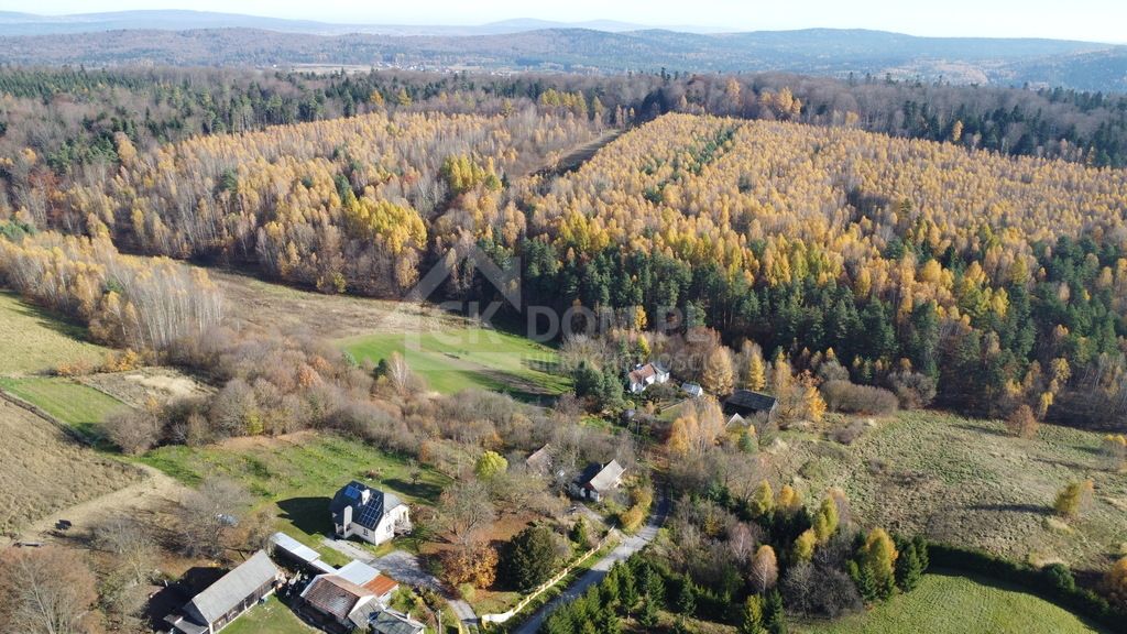 Działka rolna Cisów. Zdjęcie 1