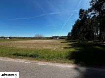 Działka rolno-budowlana Grotów. Zdjęcie 1