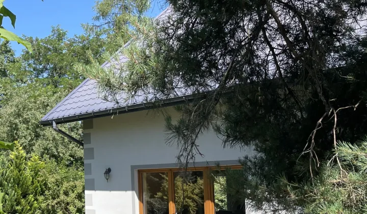 dom wolnostojący Rzeszów Staromieście, okazja