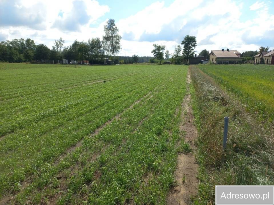 Działka budowlana Ignacew Folwarczny. Zdjęcie 8