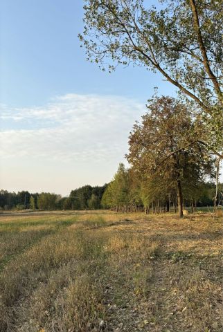 Działka budowlana Orońsko, ul. Rzeczna. Zdjęcie 1