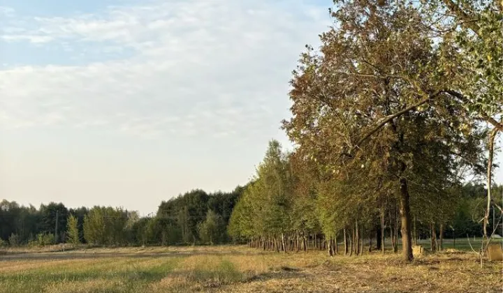 Działka budowlana Orońsko, ul. Rzeczna