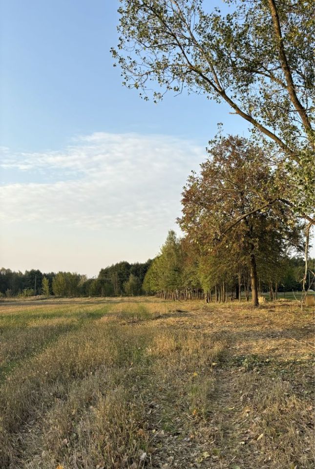 Działka budowlana Orońsko, ul. Rzeczna