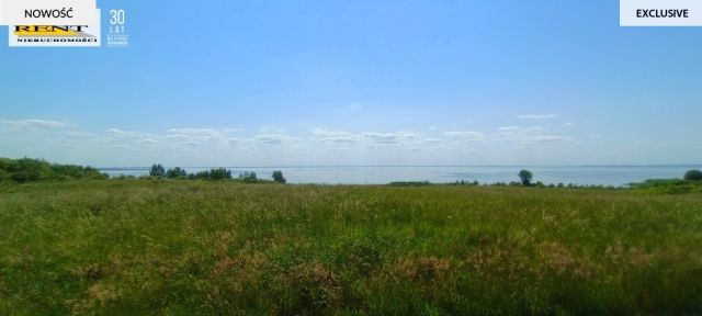 Działka rekreacyjna Płocin. Zdjęcie 8