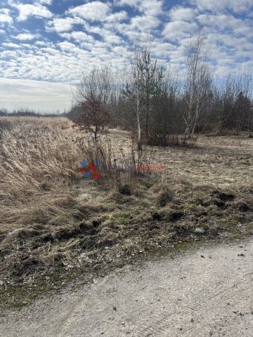 Działka siedliskowa Prażmów. Zdjęcie 3