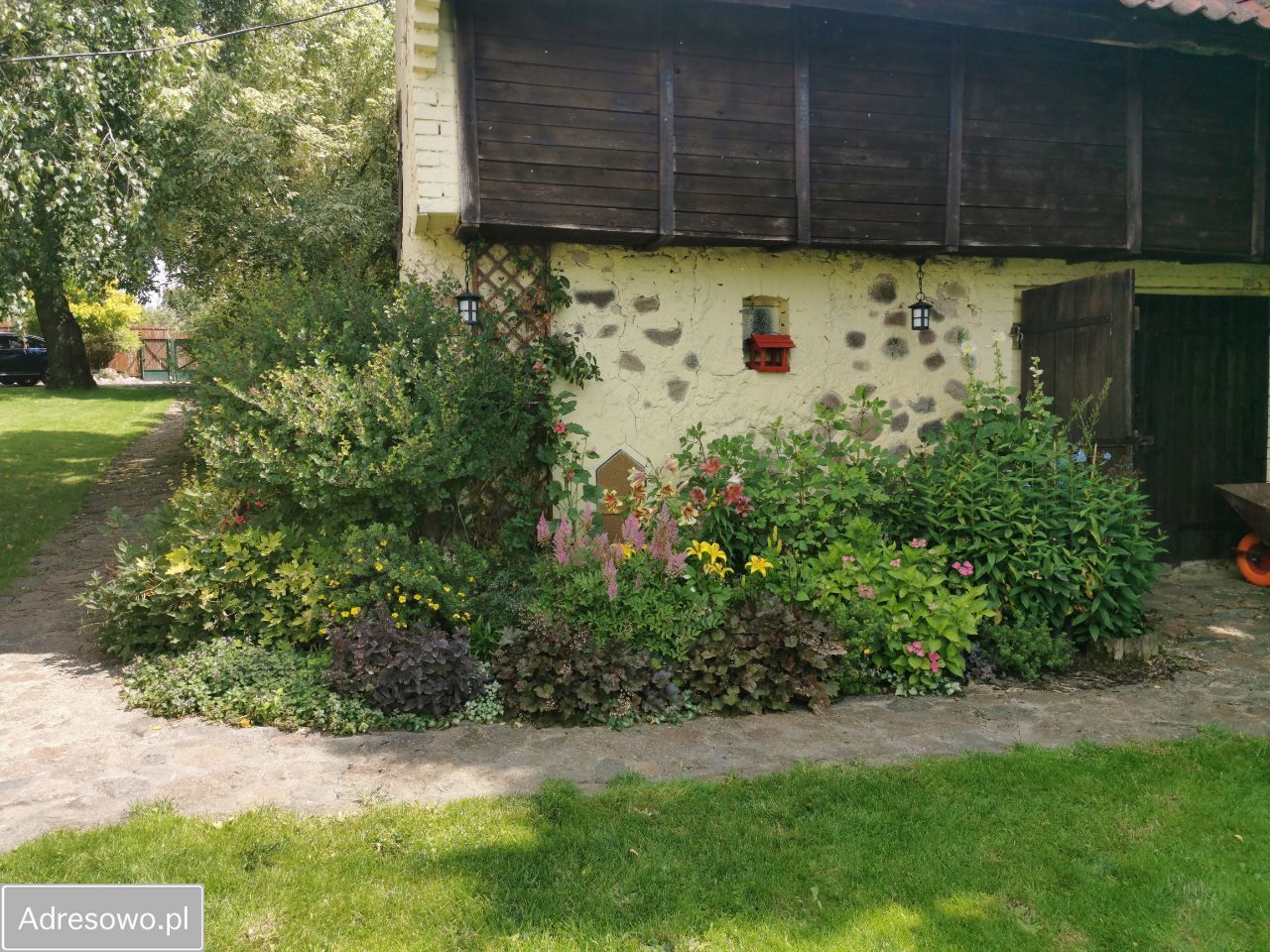 siedlisko, 3 pokoje Krzywe. Zdjęcie 11