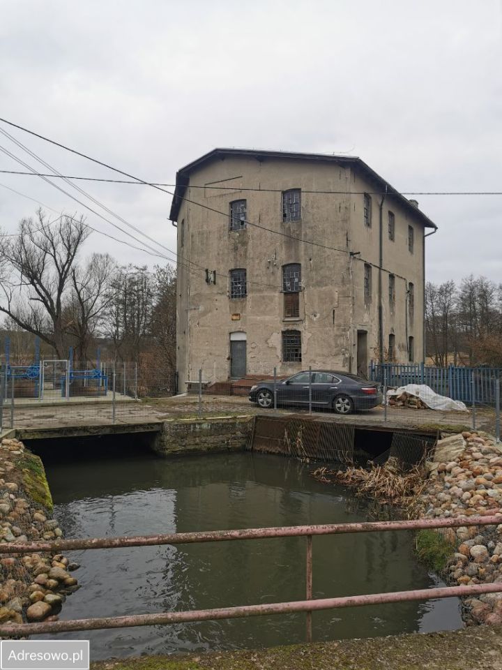 Nieruchomość komercyjna Chojna, ul. Krupin