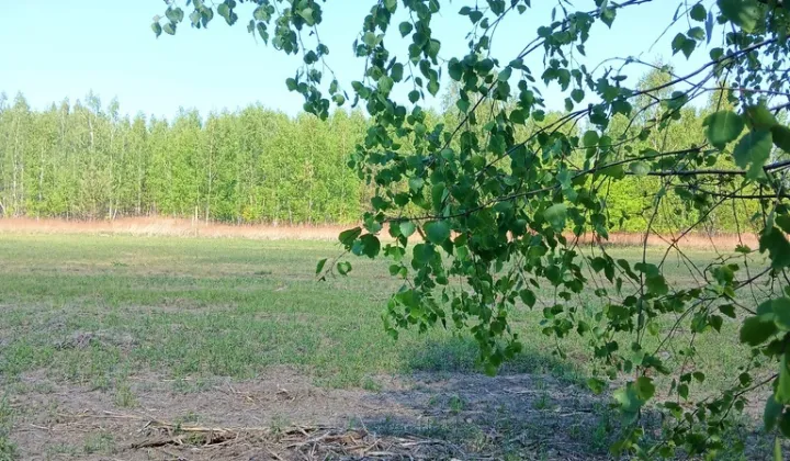 Działka budowlana Koryta, ul. Północna