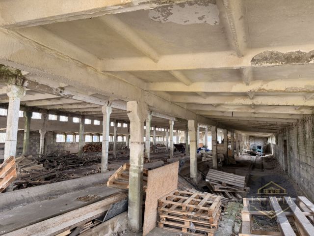 Działka inwestycyjna Węgorzyce. Zdjęcie 7