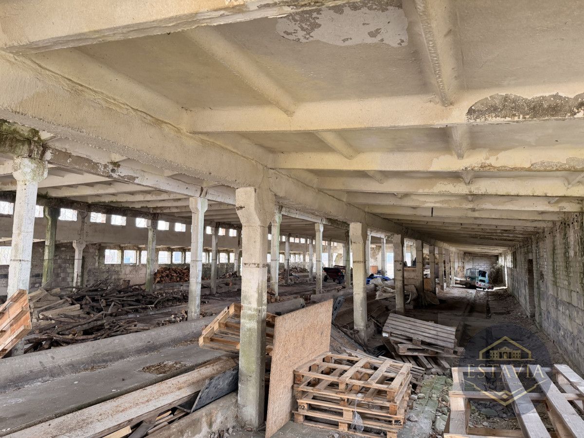 Działka inwestycyjna Węgorzyce. Zdjęcie 7