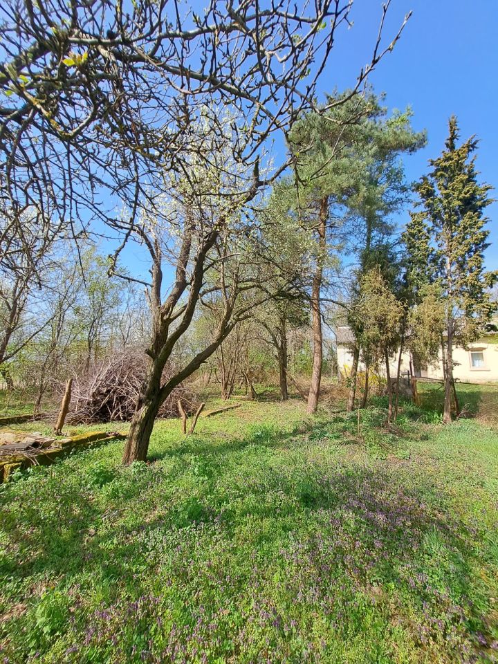 Działka budowlana Orątki Górne. Zdjęcie 2